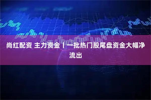 尚红配资 主力资金丨一批热门股尾盘资金大幅净流出