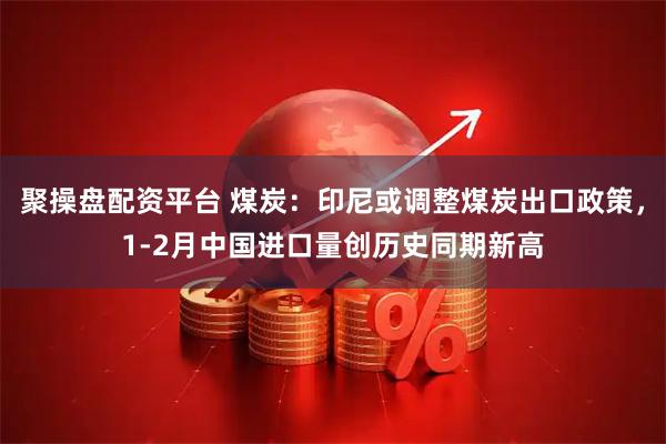 聚操盘配资平台 煤炭:印尼或调整煤炭出口政策,1-2月中国进口量创历史同期新高